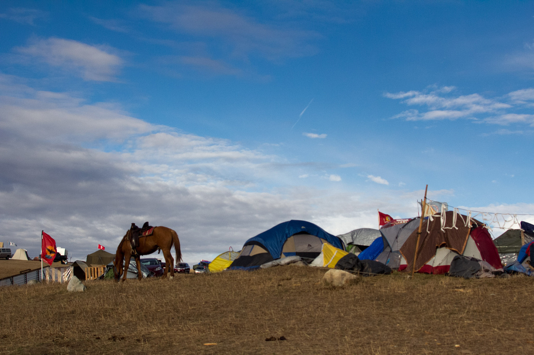 A group of campers stake our a spot for their tents and horse at the DAPL Resistance campsite in Cannon Ball, ND. Strong winds and dropping temperatures at night are a large concern to those choosing